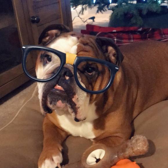 Meet your Posher, Tara - Picture 1 of 1